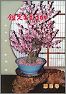 鑑定おおさか　第9号